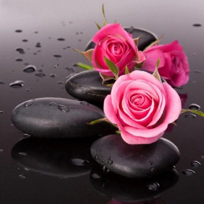 Rosa Rosen auf schwarzen Felse - Diamond Painting