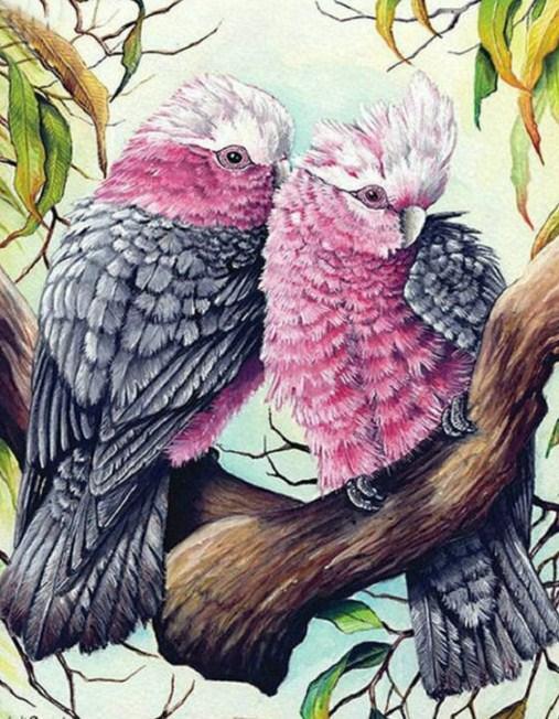 Rosa & graue Kakadus Paar - Diamond Painting