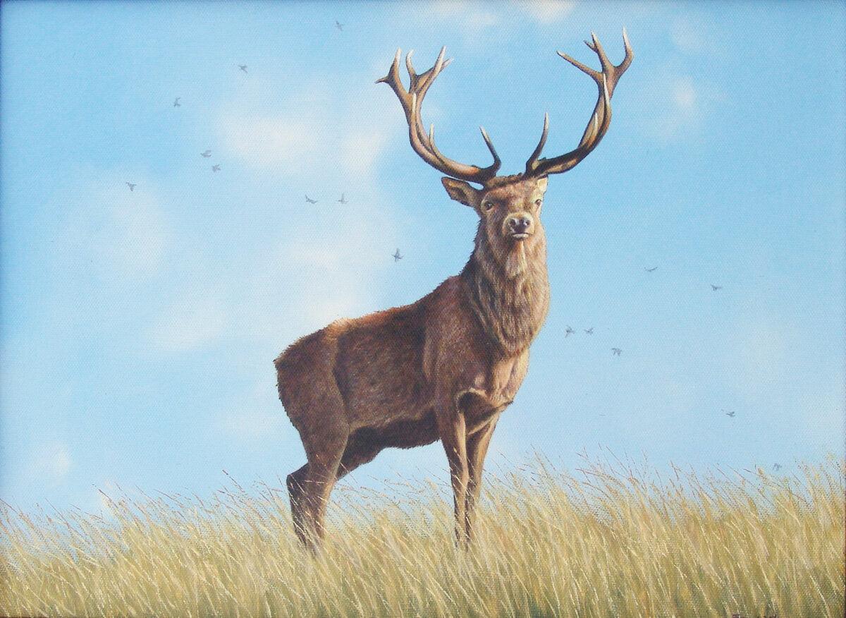 Rotwild -  Kunst des Eric Wilson - Diamond Painting