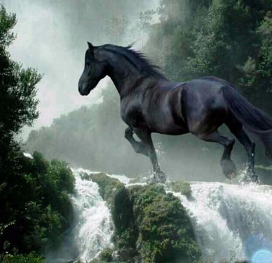 Laufendes schwarzes Pferd - Diamond Painting