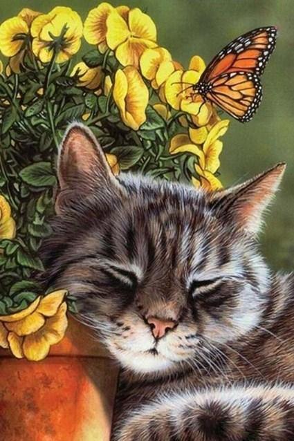 Schlafende Katze - Malen durch Diamanten - Diamond Painting