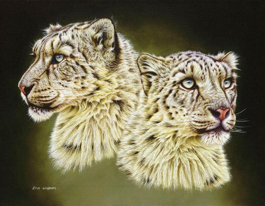 Schneeleoparden -  Kunst des Eric Wilson - Diamond Painting