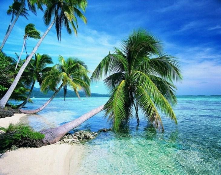 Sommer Strand & Palmen - Diamond Painting