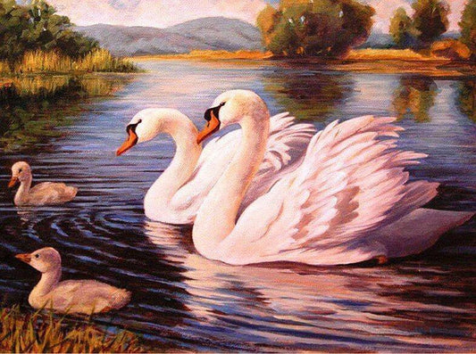 Schwanen familie im See - Diamond Painting