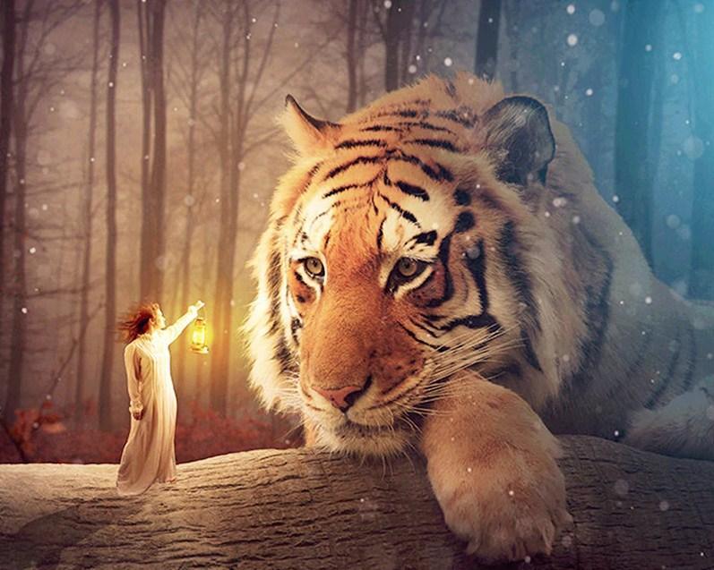 Tiger & Mädchen DIY Mal-Kit - Diamond Painting