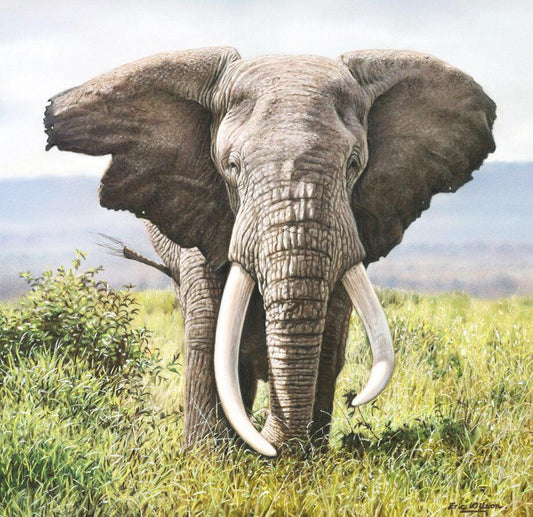 Tusker -  Kunst des Eric Wilson - Diamond Painting