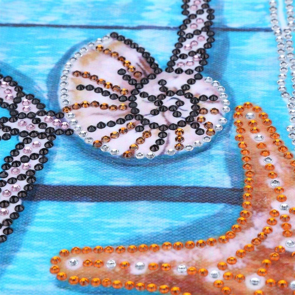 Seestern Muschel - Spezial Diamond Painting - Diamond Painting