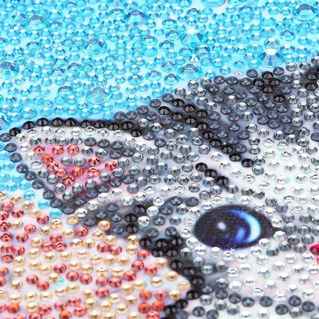 Katze am Strand - Spezial Diamond Painting - Diamond Painting