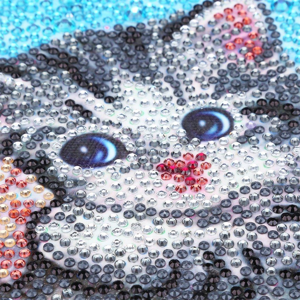Katze am Strand - Spezial Diamond Painting - Diamond Painting