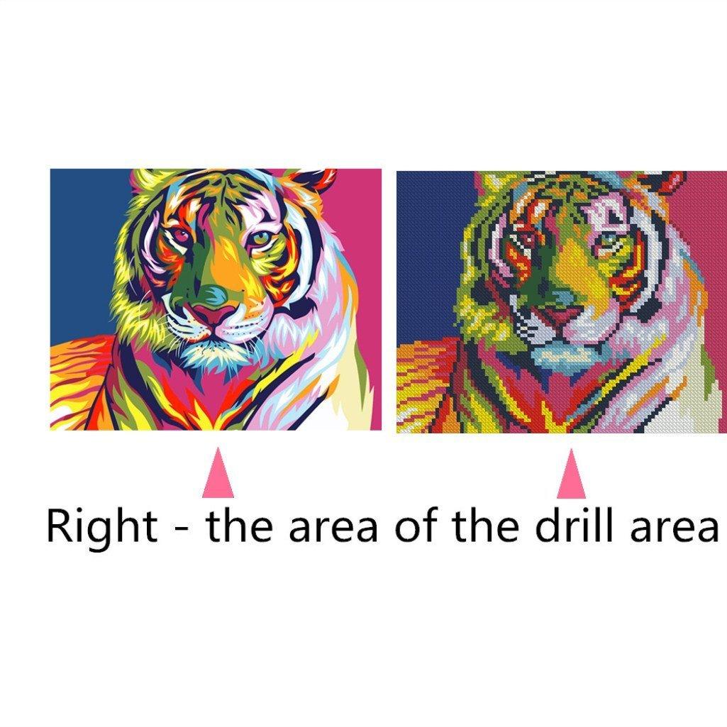 Bunte Tiger - Diamond Paintings - Diamond Painting