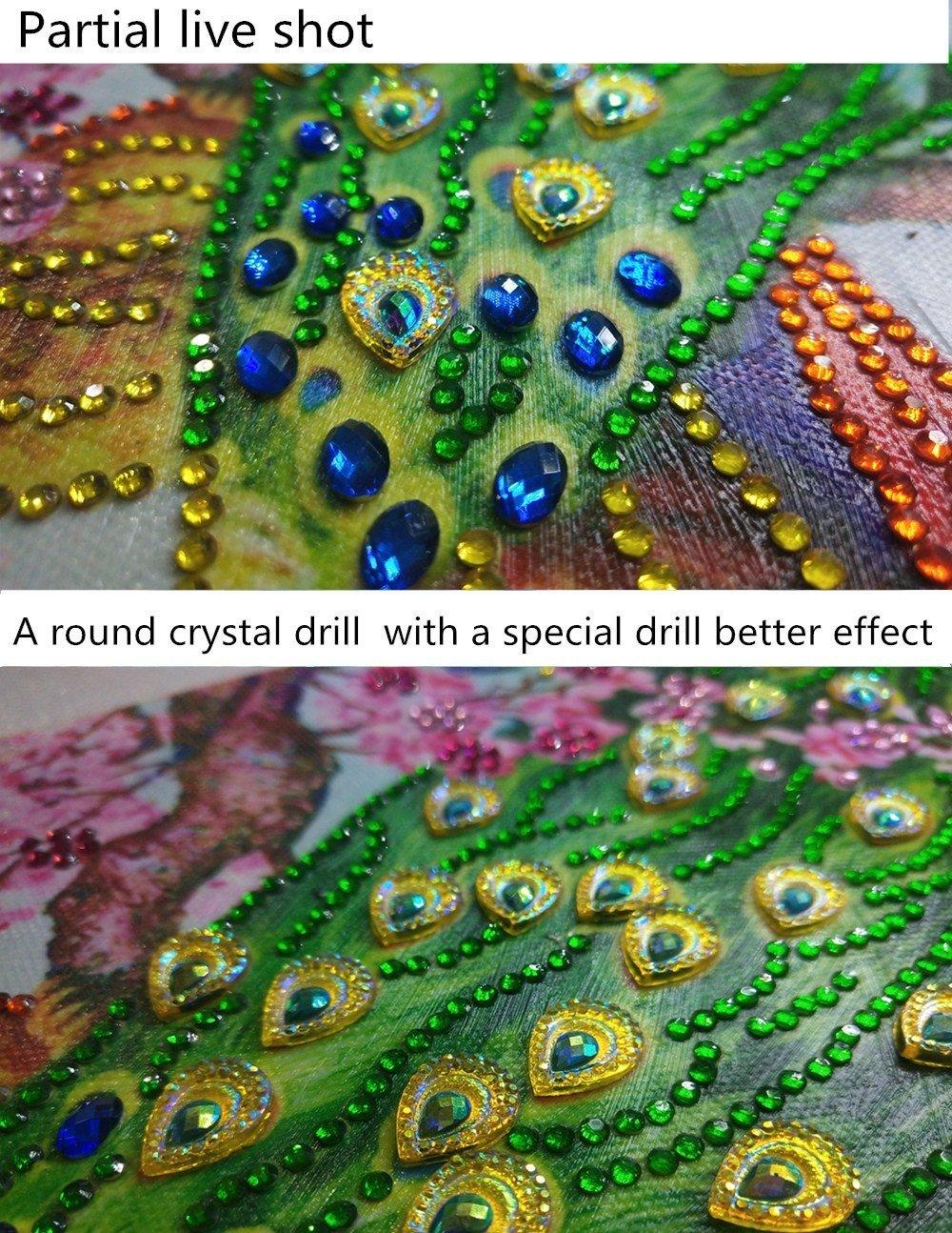 Pfauenpaar - Sonderform Diamond Painting - Diamond Painting