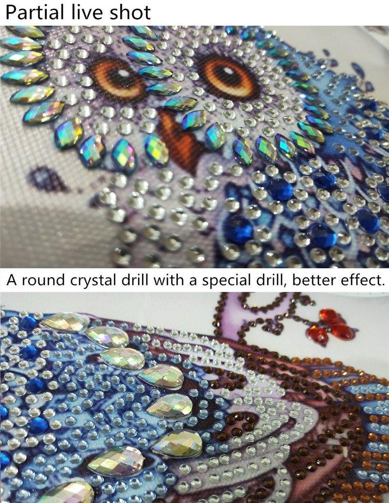 Starre Eule - Spezial Diamond Painting - Diamond Painting