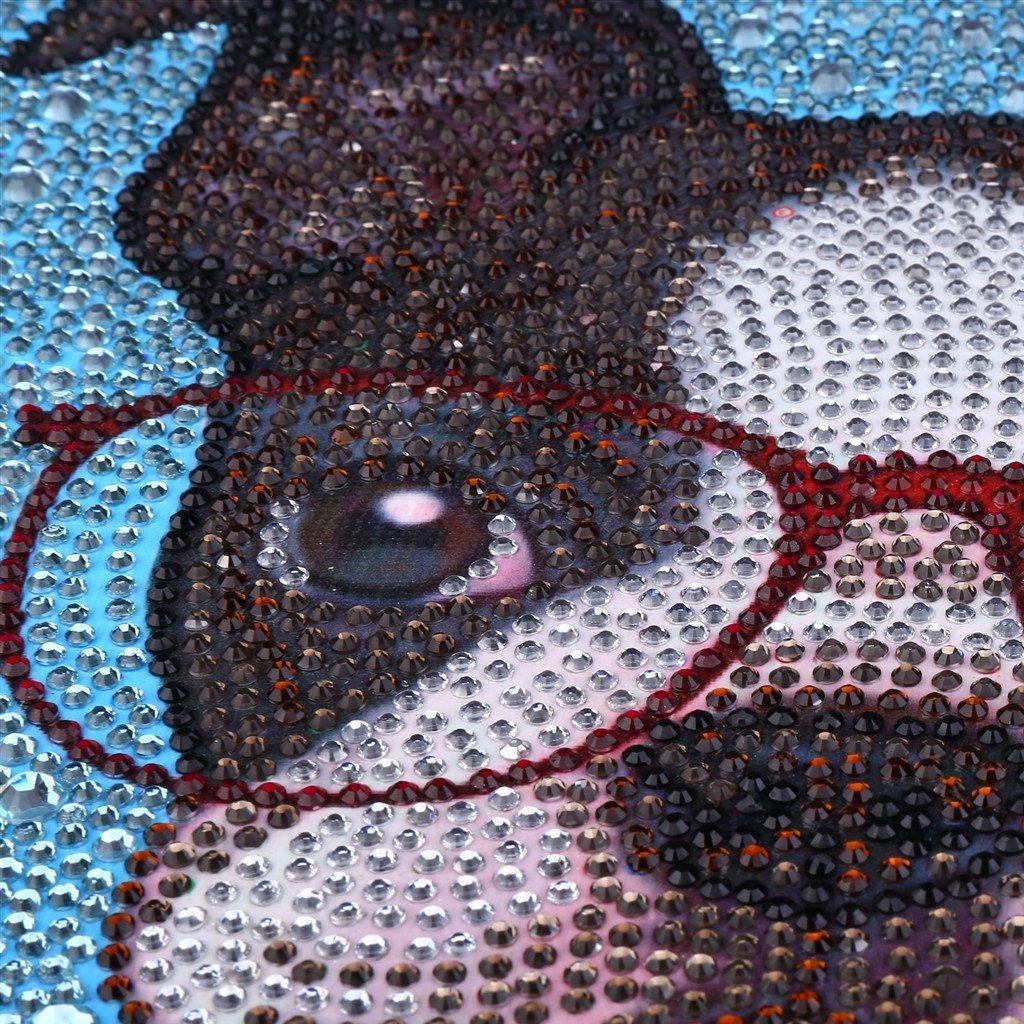 Anspruchsvolle Spezial Diamond Painting - Diamond Painting