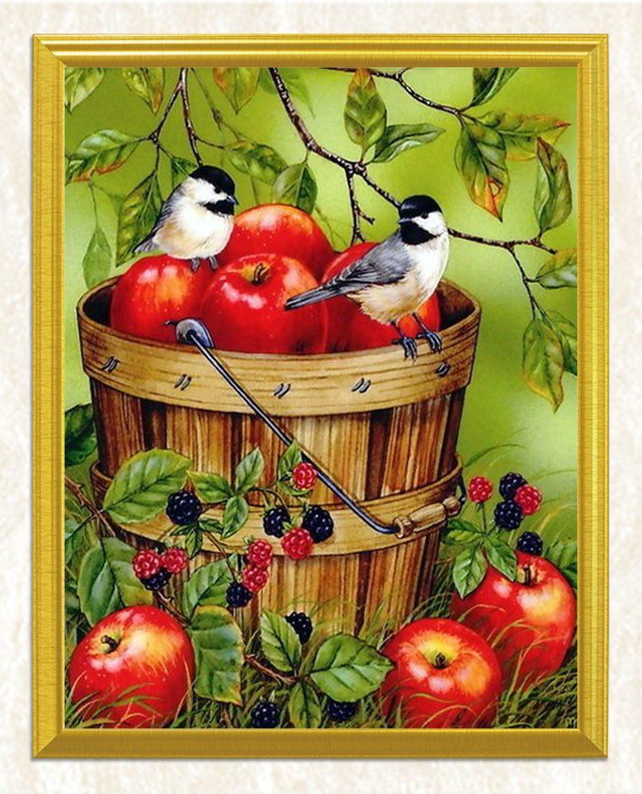 Äpfel in einem Eimer & Spatzen Diamond Painting - Diamond Painting