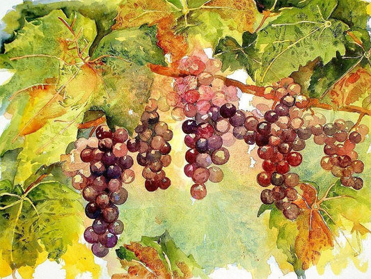Hängende Trauben DIY Malerei - Diamond Painting