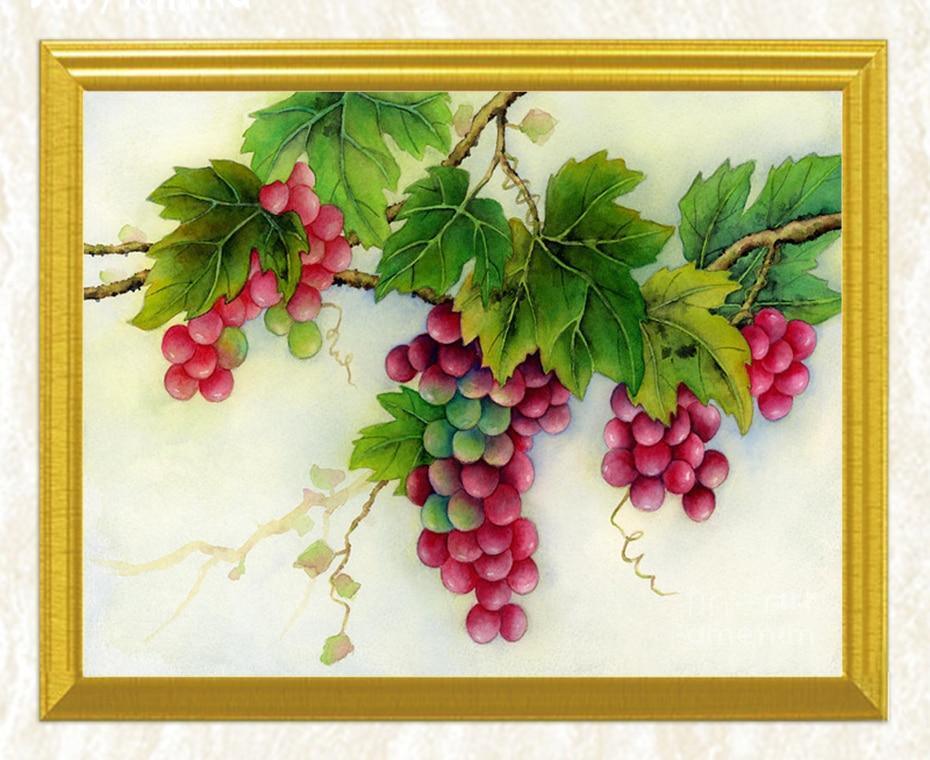 Trauben auf Zweigen DIY Malerei - Diamond Painting
