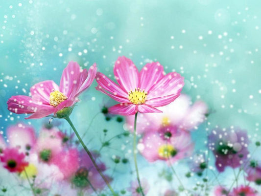 Hübsche rosa Blumen DIY Malerei - Diamond Painting