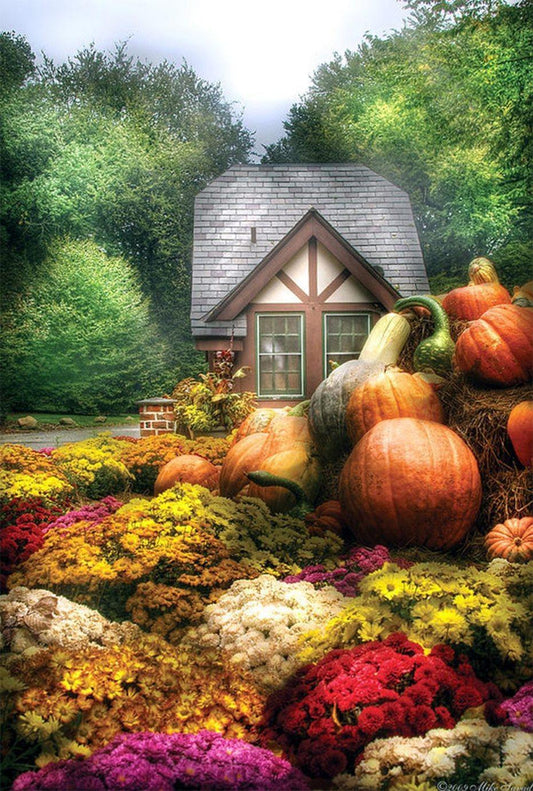 Kürbisgarten DIY Diamond Painting - Diamond Painting