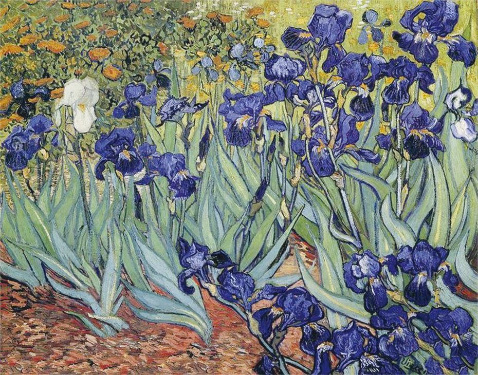 Irises DIY Diamond Painting  - Vincent Van Gogh - Diamond Painting