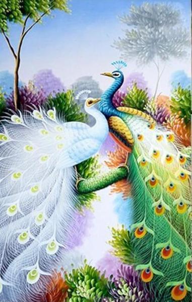 Pfauenpaar DIY Diamond Painting - Diamond Painting