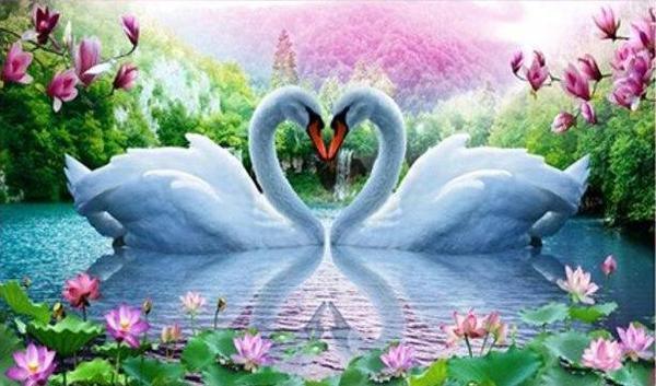 Weiße Schwäne lieben DIY Diamond Painting - Diamond Painting