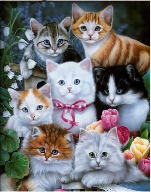 Entzückende Katzen DIY Diamond Paintings - Diamond Painting