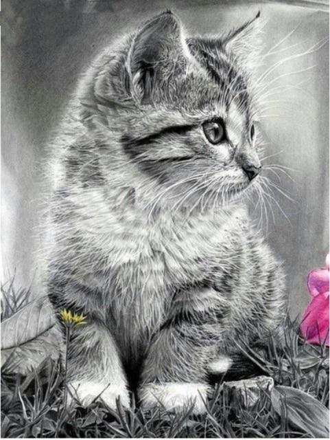 Entzückende Katzen DIY Diamond Paintings - Diamond Painting