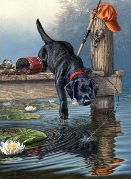 Hundesammlung DIY Diamond Paintings - Diamond Painting